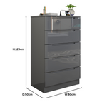 Load image into Gallery viewer, High Gloss 5-Pull-Out Storage Chest of Drawers