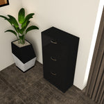 Load image into Gallery viewer, 3 Tier High Gloss Shoes Cabinet