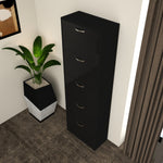 Load image into Gallery viewer, 5 Tier High Gloss Shoes Cabinet
