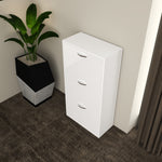 Load image into Gallery viewer, 3 Tier High Gloss Shoes Cabinet
